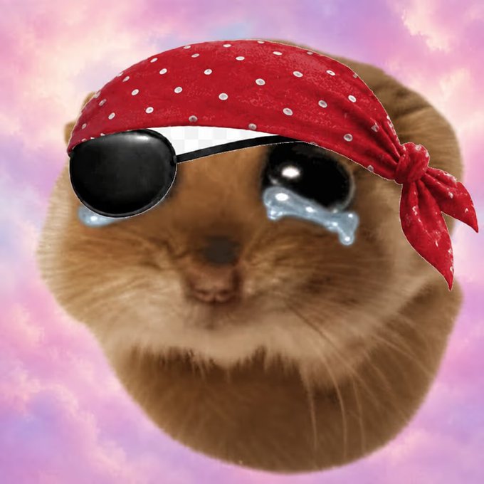 A meme-style image shows a fluffy orange cat wearing a red bandana with white polka dots, sunglasses, and large anime-style crying eyes against a pink cloudy sky background.