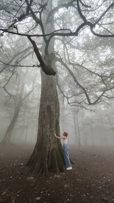 A woman in a white tank top and blue jeans hugs a massive tree trunk in a misty, fog-filled forest.