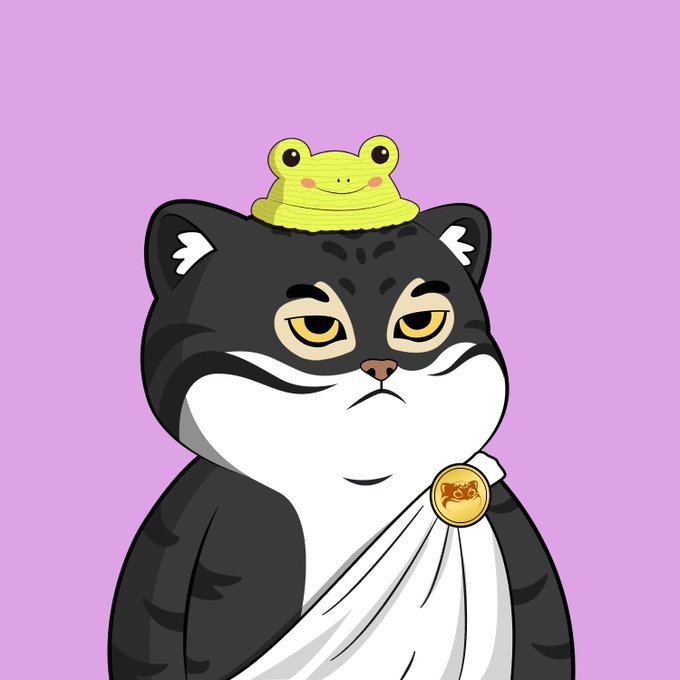 A cartoon illustration features a black and white cat with a serious expression, wearing a white toga-like garment and a gold coin, with a small green frog sitting on its head, all set against a pink background.