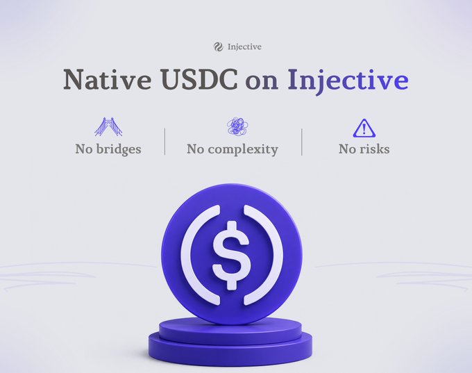 The image promotes "Native USDC on Injective" with a purple coin featuring a dollar symbol on a pedestal, highlighting three benefits: "No bridges, No complexity, No risks." 

While the post paints a vivid picture of a bustling financial city reliant on bridges, the image flips the narrative by showcasing Injective's solution—native USDC that eliminates the need for bridges altogether, removing the complexity and risks that bridges traditionally introduce.