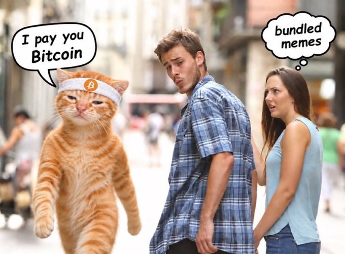A meme featuring an orange tabby cat wearing a Bitcoin headband with a speech bubble saying "I pay you Bitcoin," while a man and woman look on, with the woman thinking "bundled memes."