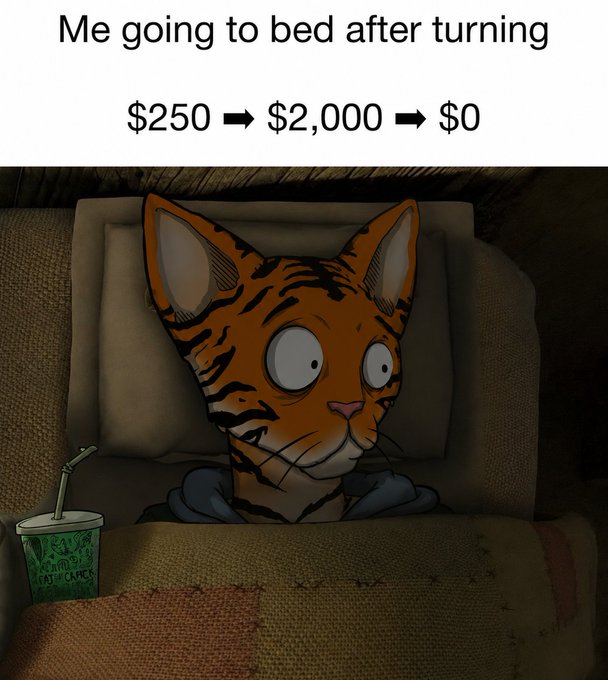 A meme showing an orange cat with wide, shocked eyes sitting up in bed beside a cup labeled "Drip Caps," captioned "Me going to bed after turning $250 ➡ $2,000 � $0."