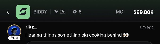 A screenshot of a crypto tracker shows the BIDDY token with a market cap of $29.80K and a comment from user 'rikz_' reading 'Hearing things something big cooking behind 👀'.