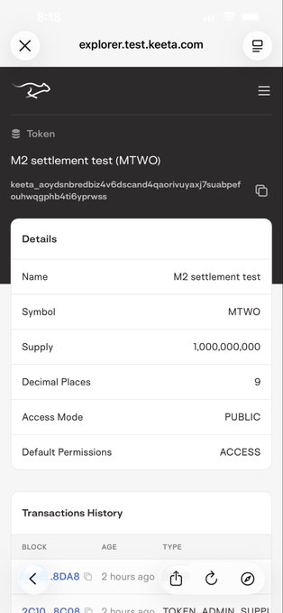 This image shows a screenshot of the Keeta explorer testnet, detailing the M2 settlement test token with a supply of 1,000,000,000. It relates to the post by showing an example of the token details on the testnet, which is the focus of the user's interest.