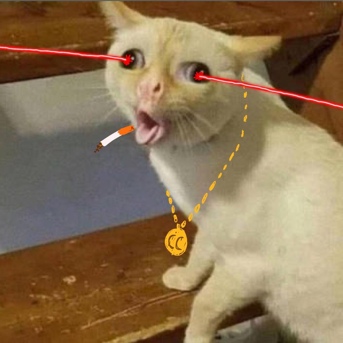 A white cat with wide eyes is digitally edited to have red laser eyes, a cigarette in its mouth, and a gold chain with a 'CC' pendant.