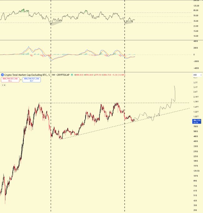 Trading charts showing RSI and MACD indicators above a price chart labeled 'Crypto Total Market Cap Excluding BTC, $ - 1W - CRYPTOCAP' at 884.726B.