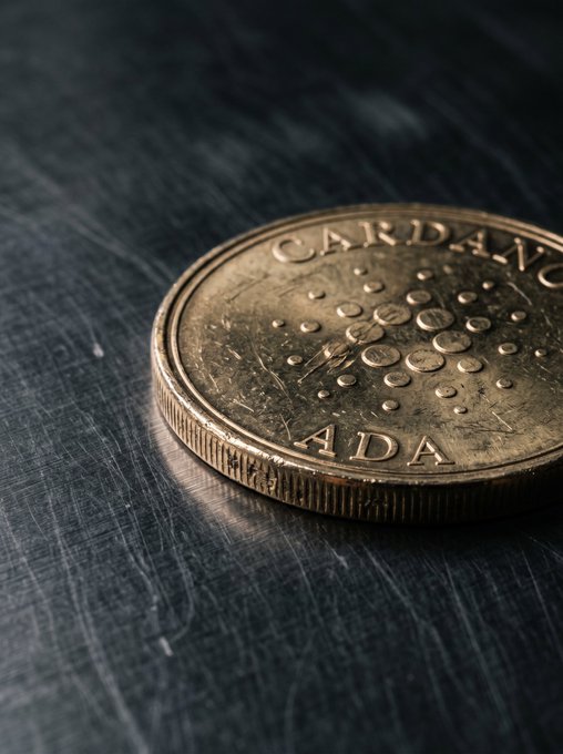 A close-up photograph of a gold-colored Cardano (ADA) cryptocurrency coin resting on a dark textured surface.