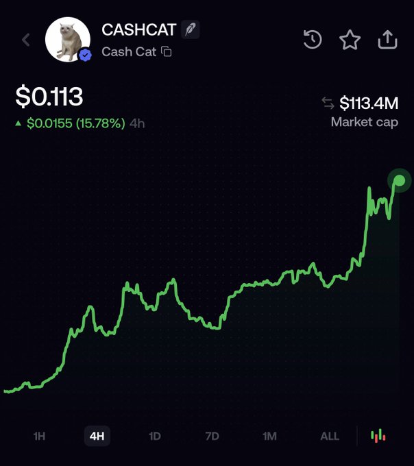 A mobile screen displays the CASHCAT cryptocurrency (Cash Cat) trading chart at $0.113, up $0.0155 (15.78%) over 4 hours with a $113.4M market cap, showing a strong upward trend on the "ALL" timeframe. The chart's bullish momentum visually supports the post's thesis that growing strength in Cash Cat and Cash Bird will attract whale accumulation.