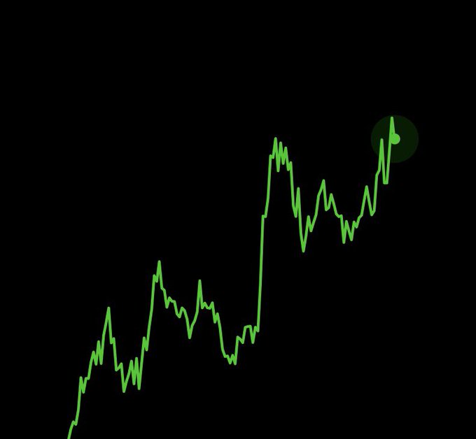 A green line chart trends upward across a black background, with the final peak circled in green—visually depicting significant portfolio growth, humorously attributed to sending $99 to @PokeHEX5555.