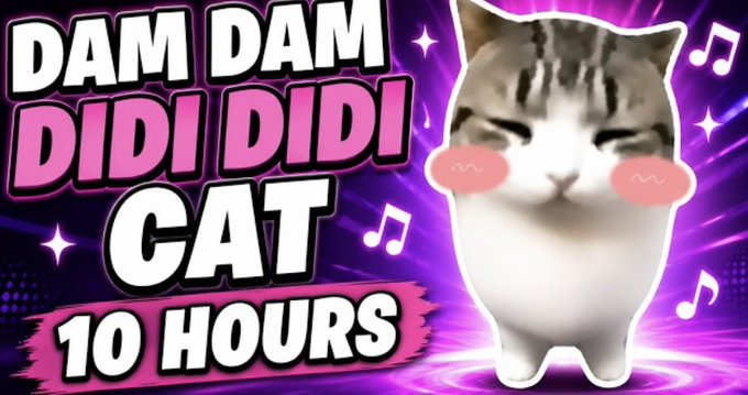 A YouTube thumbnail with the text "DAM DAM DIDI DIDI CAT 10 HOURS" featuring a photoshopped cat with human-like body and blushing cheeks.