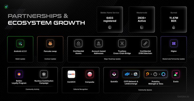 Beldex ecosystem infographic titled 'PARTNERSHIPS & ECOSYSTEM GROWTH' showing 6,403 Beldex Name Service registrations, 2,935+ active Masternodes, 11.47M BDX burned, and partner logos including Pancake Swap, CoinDCX, and Exodus.