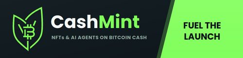 CashMint promotes itself with a logo combining a Bitcoin 'B' and rocket icon, reading 'CashMint - NFTs & AI agents on Bitcoin Cash' alongside 'FUEL THE LAUNCH'.