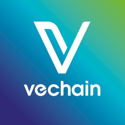 The image features a blue background with white text that reads "VECHAIN". The text is positioned at the top center of the frame, making it the main focus of the image. Below this, there's an additional line of text that says "Day 28 of posting the VeChain logo till it hits new ATH". This information provides context about when and where the image was taken or posted.