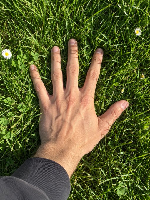 A hand reaches down to press against a lush patch of green grass dotted with small white daisies, with the visible sleeve and grounded palm playfully fulfilling the "grass: touched" challenge.