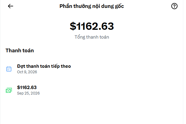 A mobile payment confirmation screen in Vietnamese showing a total payment of $1162.63, with the next scheduled payment dated October 9, 2026.