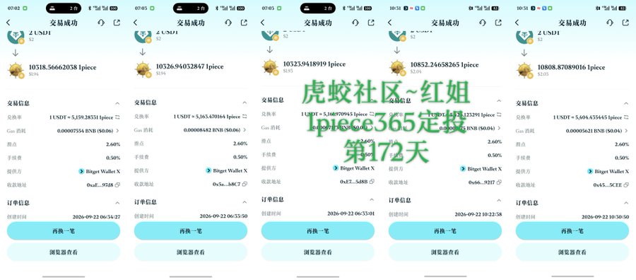 A series of five mobile screenshots showing successful USDT transactions on BingX, with Chinese text overlay reading '虎蛟社区~红姐 Per365定点 第72天'.
