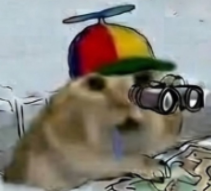 The image features a cartoon cat wearing a hat with different colors, including red, yellow, green, blue, and orange. The cat has binoculars attached to its face, giving it an appearance of being a bird-watching enthusiast or a character from a children's book series.