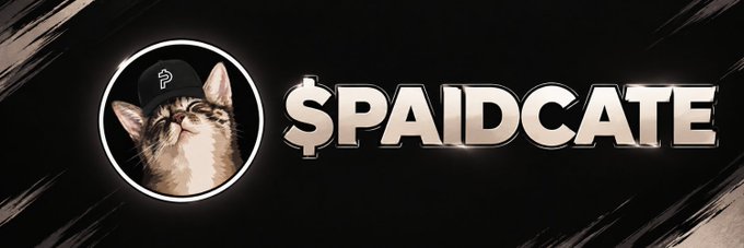 A logo banner featuring a cat wearing a black cap with a question mark alongside the text "$PAIDCATE" in metallic gold lettering on a dark background, matching the memecoin branding promoted in the accompanying post urging viewers to buy below a $1 million market cap for potential 100x gains.