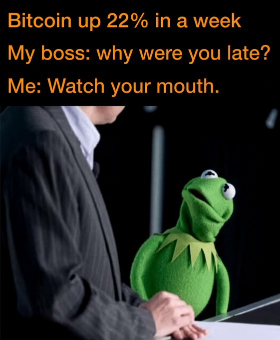 The image shows Kermit the Frog looking up at a person in a suit, with text reading "Bitcoin up 22% in a week / My boss: why were you late? / Me: Watch your mouth." The meme humorously depicts a Bitcoin investor too busy watching crypto gains to worry about workplace scoldings, aligning with the post's point that DCA quietly stacks sats while others wait for the "perfect dip."