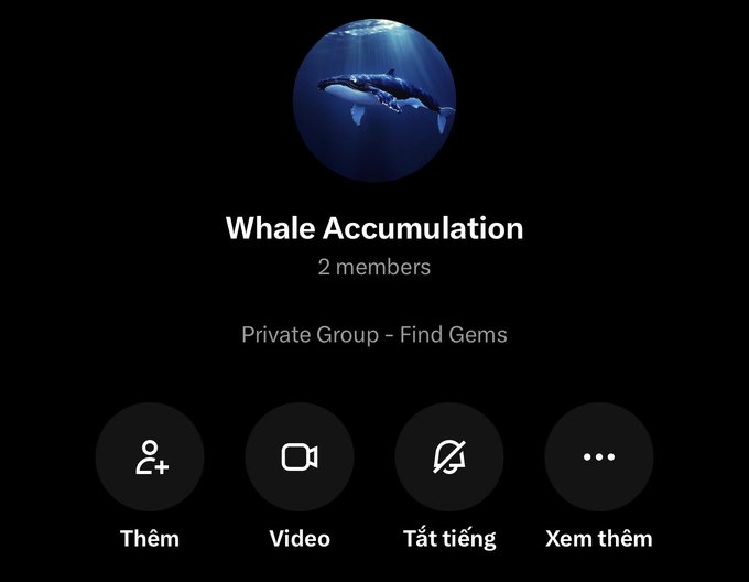 A WhatsApp group call screen titled "Whale Accumulation" with 2 members, described as "Private Group – Find Gems," featuring options like "Thêm," "Video," "Tắt tiếng," and "Xem thêm."