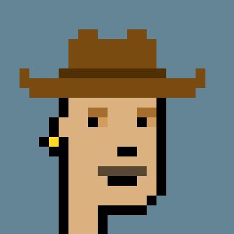 The image features a cartoon-like depiction of a person wearing a cowboy hat, with a brown cowboy hat sitting atop their head. The person's face is prominently displayed against a blue background, giving them an intense and focused expression as they look directly at the camera. The caption below the image reads "Living in Texas, I really wanted a Cowboy Punk and thanks to @eli_schein I found my #cryptopunks grail". This suggests that the person depicted might be a fan of the punk rock genre or has been inspired by the character from the movie "Punk Rockers" (also known as "The Lone Ranger").