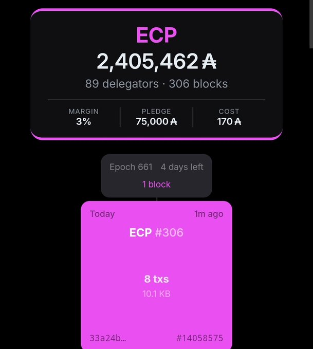 A cryptocurrency/blockchain dashboard interface displaying 'ECP' with 2,405,462 A₳, 89 delegators, 306 blocks, and an 'ECP #306' block entry.
