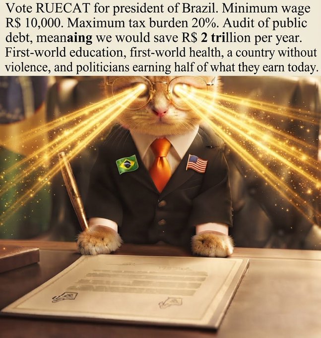 A political meme featuring a cat in a suit with laser eyes, wearing Brazilian and American flag lapel pins, with text promoting 'RUECAT for president of Brazil' and various policy promises.