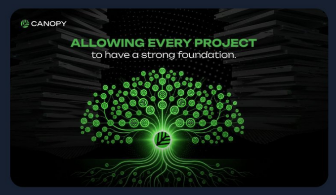 The image features the Canopy logo alongside the text "ALLOWING EVERY PROJECT to have a strong foundation," displayed over a stylized green tree with circuit-like roots and foliage. This visual metaphor reinforces the post's message about CNPY Network serving as a foundational backend framework for Web3 developers, symbolizing how it provides essential infrastructure that lets projects grow without getting tangled in validator and liquidity complexities.