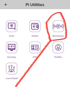 A screenshot from the Pi Utilities menu highlights the "Blockchain" option with a red circle and arrow, directing users to access it to view real-time mainnet metrics such as the 4.8 billion unlocked Pi rewards mentioned in the post.