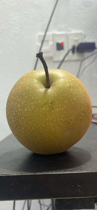A close-up photograph of a yellowish-green pear with a stem, sitting on a dark surface with a wall outlet visible in the blurred background.