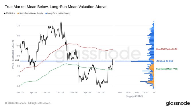 A Glassnode chart titled 'True Market Mean Below, Long-Run Mean Valuation Above' tracking BTC Price (USD), Short-Term Holder Supply, and Long-Term Holder Supply from January 2025 to July 2026.