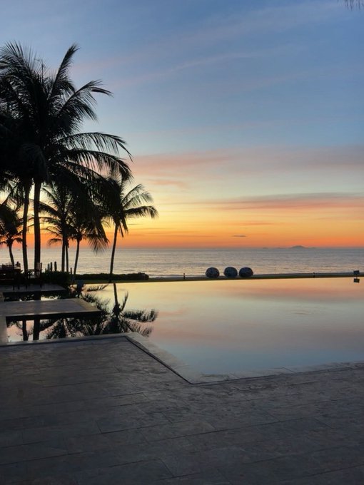 A serene sunset view over the ocean, with silhouetted palm trees on the left and an infinity pool in the foreground reflecting the orange and pink sky.