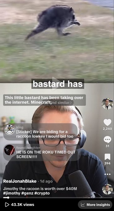 A TikTok livestream screenshot showing a raccoon at the top and a streamer named 'RealJonahBlake' discussing how 'Jimothy the raccoon is worth over $40M' with viewer comments about bidding for the raccoon.