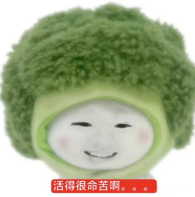 A meme featuring a cartoon broccoli character wearing a green fuzzy hat with a forced, strained smile, paired with the Chinese text "活得很辛苦啊。。。" (which translates to "Living is really hard..."). The image visually conveys the weary, bittersweet resignation that matches the post's theme of feeling trapped in a painful, cyclical relationship with cryptocurrency investments—where despite repeated losses, one keeps returning to the market.