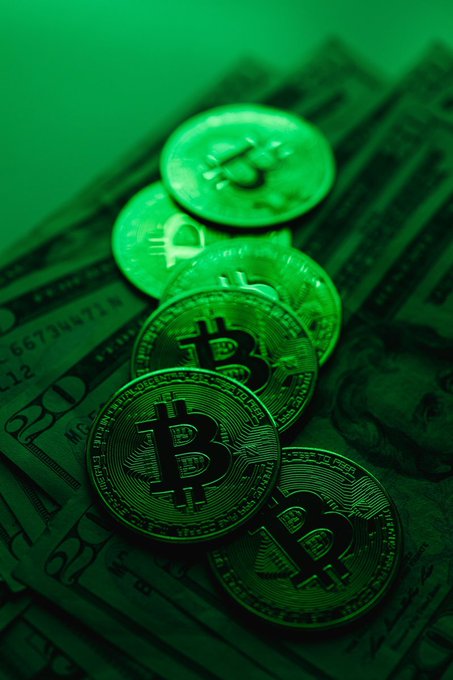 A close-up image of multiple Bitcoin physical coins resting on a fan of US dollar bills, illuminated with a green tint.
