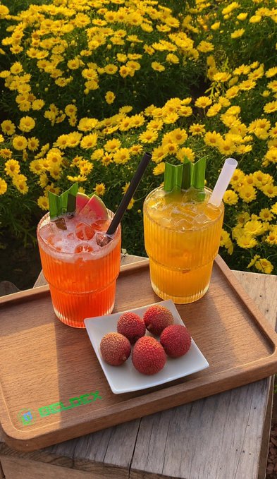 Two colorful drinks, one red and one yellow-orange, are served on a wooden tray alongside a small white dish of lychees, set against a backdrop of blooming yellow flowers.