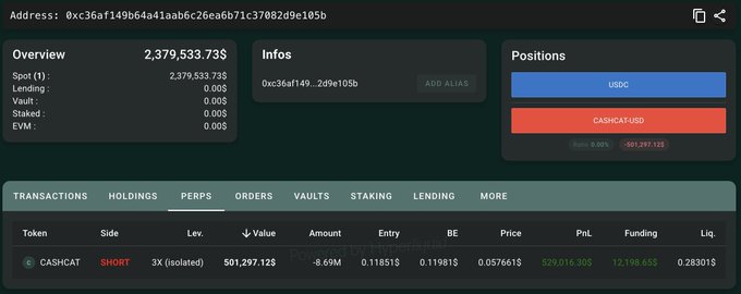 A cryptocurrency portfolio dashboard for address 0xc36af149b64a41aab6c26ea6b71c37082d9e105b showing $2,379,533.73 in USDC and a SHORT position on CASHCAT
