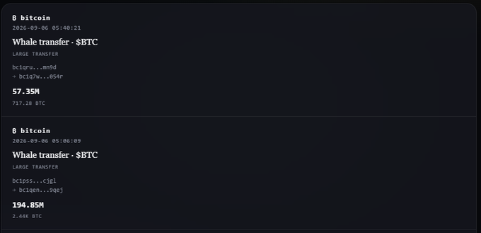 A dark-themed crypto whale alert tracker showing two large Bitcoin transfers: 57.35M (717.20 BTC) and 194.85M (2.44K BTC), both dated 2026-09-06.