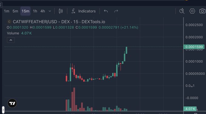 A candlestick chart on DEXTools.io shows the CATWIFFEATHER/USD token (15-minute timeframe) trading around 0.0001599 with a 21.14% gain and 4.07K volume, supporting the bullish sentiment of the post claiming the token "is about to go higher" with the contract address 0x9411673acad2Ff68810713cbc04E029c8d636FE6.