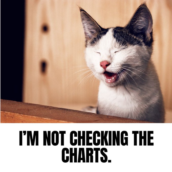 A meme featuring a smiling white and tabby cat with closed eyes, captioned with bold black text 'I'M NOT CHECKING THE CHARTS.'