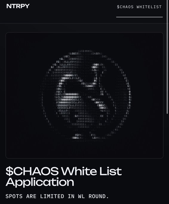 Promotional graphic for the NTRPY "$CHAOS WHITELIST" application, featuring a dark skull made of pixelated text and the tagline "SPOTS ARE LIMITED IN WL ROUND."