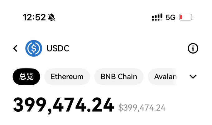 A mobile crypto wallet screen shows a USDC balance of '399,474.24' ($399,474.24) across networks including Ethereum, BNB Chain, and Avalanche.