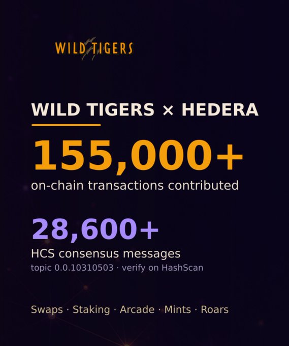 A dark-themed infographic branded "WILD TIGERS" showcasing a partnership with Hedera, displaying 155,000+ on-chain transactions and 28,600+ HCS consensus messages (topic 0.0.10310503) across features like Swaps, Staking, Arcade, Mints, and Roars—visually reinforcing the post's claim of real, verifiable ecosystem activity.
