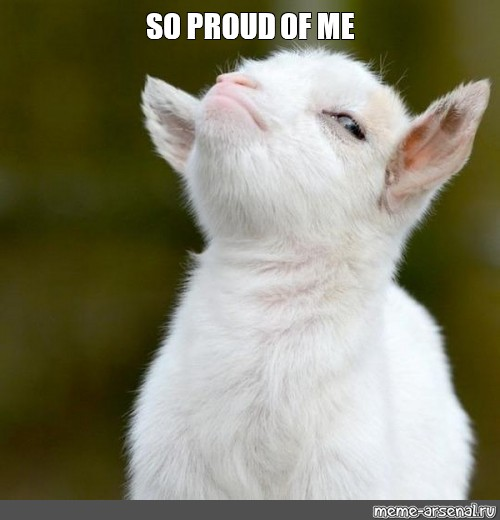 A meme featuring a white goat looking upwards with its chin raised, accompanied by the top text "SO PROUD OF ME" and the watermark "meme-arsenal.ru".