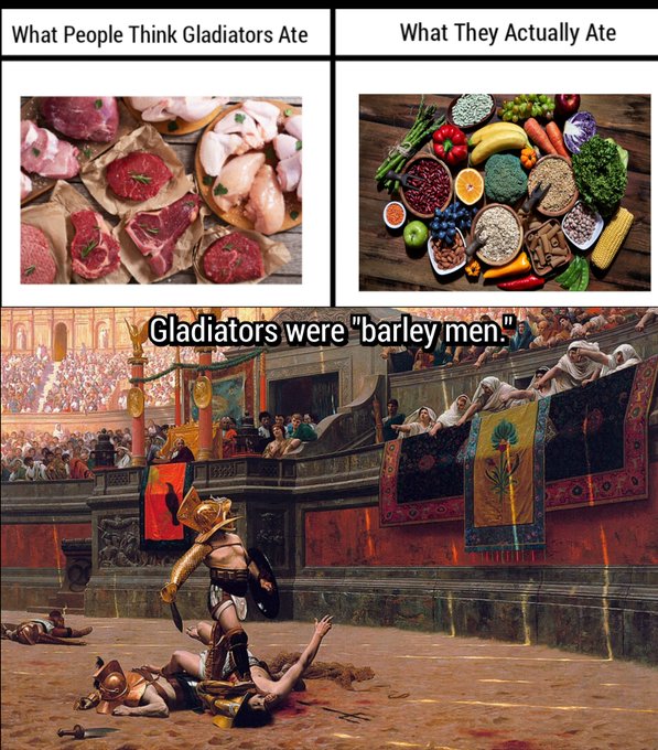 A meme contrasting 'What People Think Gladiators Ate' (raw red meat) with 'What They Actually Ate' (vegetables, grains, and legumes), noting that 'Gladiators were barley men,' with a classical painting of a gladiatorial arena below.