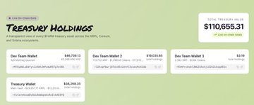A digital wallet dashboard displays 'Treasury Holdings' totaling $110,655.31, with separate cards for Core Team Wallet, Core Team Wallet 2, Core Team Wallet 3, and Treasury Wallet balances.