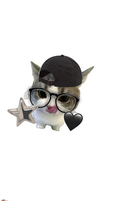 A cute cat photo with a black baseball cap, glasses, and decorative star and heart stickers added as filter elements.