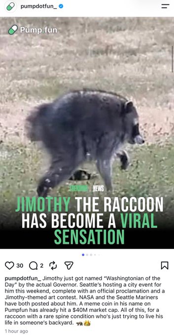 The image is an Instagram post from @pumpdotfun featuring a blurry nighttime photo of a raccoon with the headline "JIMOTHY THE RACCOON HAS BECOME A VIRAL SENSATION" from Hayward News. The caption explains that Jimothy was named "Washingtonian of the Day" by the Governor, is hosting a Seattle city event, and that a meme coin on Pumpfun has already hit a $40M market cap, tying into the accompanying post's bullish sentiment about the token.