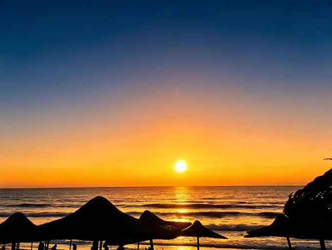 Sunset photograph over the ocean with bright orange sun near the horizon, silhouetted palm fronds and beach umbrellas in the foreground, and a gradient sky transitioning from blue to orange.