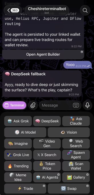 A Telegram bot interface for 'Cheshiterminalbot' showing chat messages and a menu of features including 'Ask Grok', 'DeepSeek', 'Ask Claude', 'AI Model', 'Vision', 'Trade', and 'Swap'.